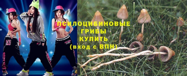 ALPHA PVP Арсеньев